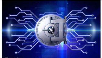 远为软件黄玉琪 做中国企业商业秘密的守护者